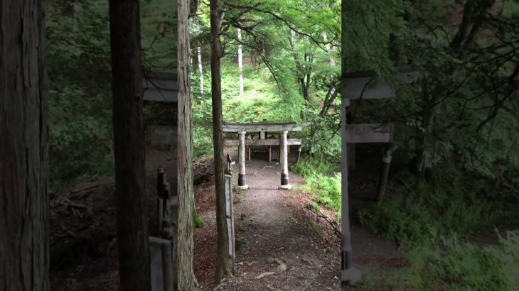 関東屈指のスピリチュアルパワースポット「三峯神社」奥宮 Mitsumine Shrine #Shorts