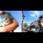 おはようございます！😊日本全国朝のマインドフルネス体操です！SDGs！いつもありがとう！（今日で連続465回目の2021年8月10日）※毎朝6時40分～7時迄 どうぞ、ご参加下さい！