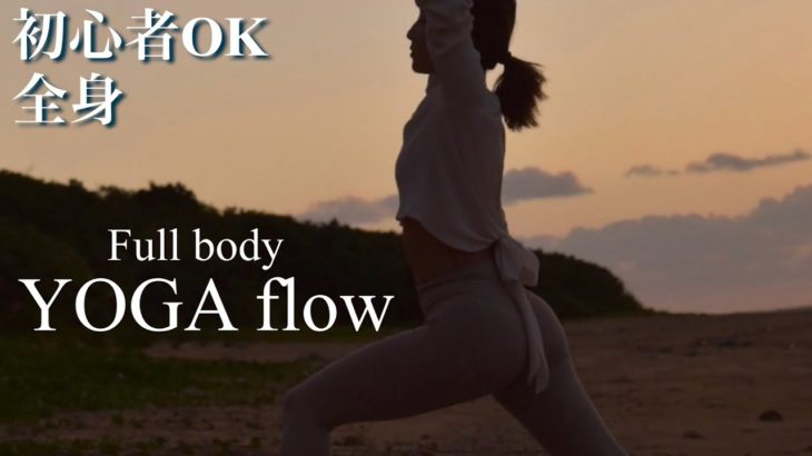 【筋力UPヨガ】ダイナミックに体を動かして、全身の血液を促す。