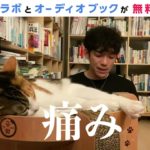 マインドフル瞑想とは｜集中力UPとメンタルの安定｜今日のDaiGo｜切り抜き｜