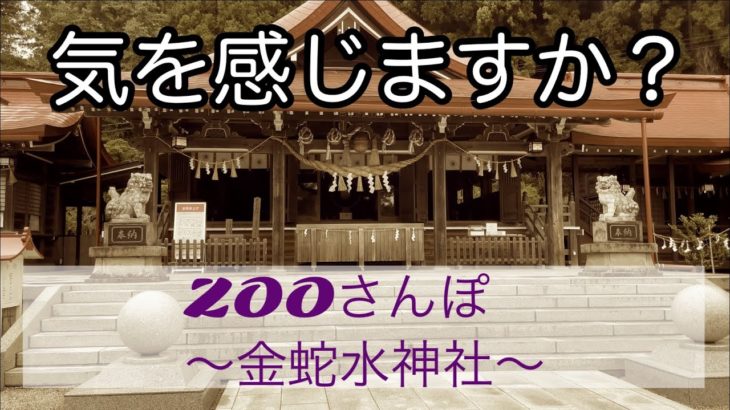 【スピリチュアル】【パワースポット】【ZOOさんぽ】【神社参拝】金蛇水神社⛩へ