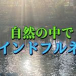 #リラックス　#マインドフルネス　#散歩 #日常の風景 #綾瀬川　#真鴨　#beautifulnature #meditation #healing