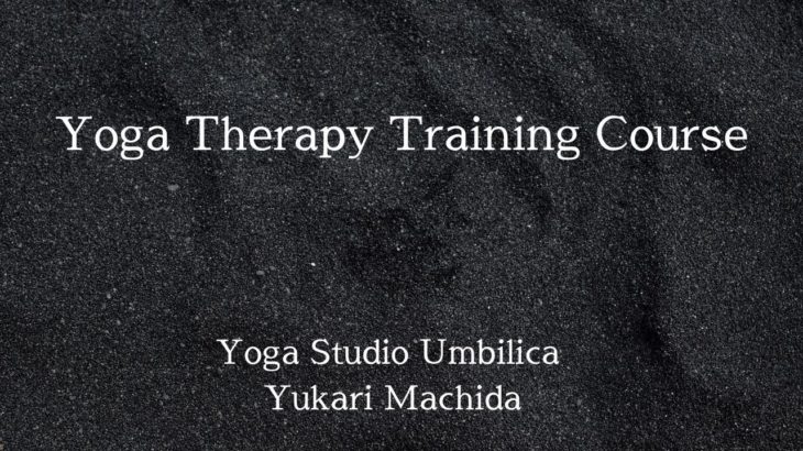 【ヨガセラピートレーニングコース概要】ヨガで自分の得意を活かすスキルアップコース
