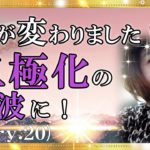 【スピリチュアル】風が変わりました。二極化の波に！大変な時代です。病気になっても治療してもらえる人とそうでない人！そういう事も含めて二極化です。『魔法のニベルセーヌ』