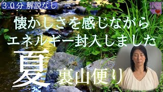 🌲森の音瞑想🌲夏・雨の森「ヒグラシ・ウグイス・・」私にとっては懐かしさを感じる癒しの自然音♪ 実家で撮影した物にヒーリングエネルギーを封入してあります