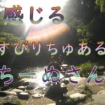 感じるスピリチュアルち～ぬさん