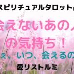 [スピリチュアルタロット占い]🔮会えないあの人はどんな気持ち❔そしていつ、会えるの❔😷🌈👫