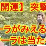 【開運】スピリチュアル　オーラをみる突撃インタビューヽ(´▽｀)/ オーラリーディング・オーラセラピーで運気が上がる　能力アップ