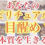 あなたのスピリチュアルな✨目醒め✨〜本質を生きる〜　タロットカード/オラクルカードリーディング🔮