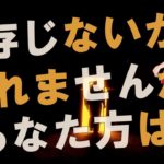 【衝撃】シリウスからのメッセージがヤバすぎる！！【スピリチュアル】