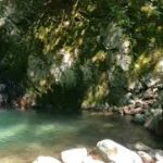 【自然の癒し】集中力、瞑想