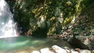 【自然の癒し】集中力、瞑想