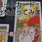 タロット🔮初心者です✨スピリチュアルな話とリーディングの動画です。過去現在から未来相手との心をカードから見てます。人間不信の友人と私は魂では親子。#タロットカード#愛#魂#スピリチュアル