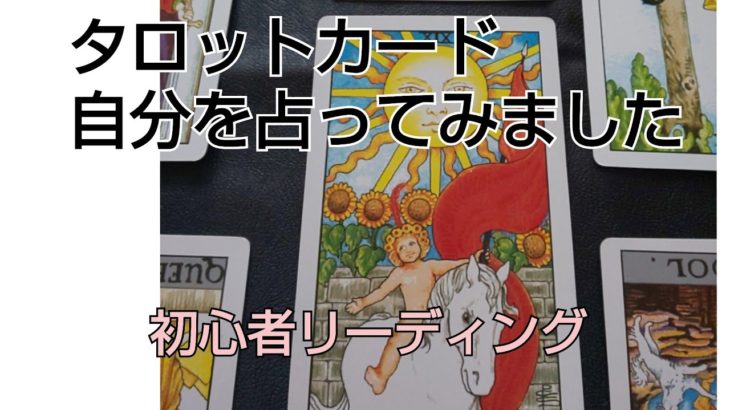 タロット🔮初心者です✨スピリチュアルな話とリーディングの動画です。過去現在から未来相手との心をカードから見てます。人間不信の友人と私は魂では親子。#タロットカード#愛#魂#スピリチュアル