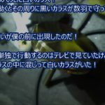 カラスの大群がスピリチュアルにここ数日間！僕の前にいつものカラスが外で鳴いている！