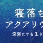 【睡眠導入／癒し】寝落ちアクアリウム『深海の生き物』