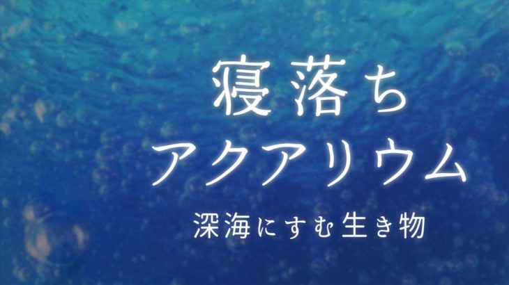 【睡眠導入／癒し】寝落ちアクアリウム『深海の生き物』