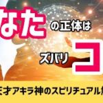 「あなたの正体」はコレだった！（スピリチュアル解説ライブ録画）※目次は概要欄へ