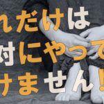 【衝撃】自分ですら認識していない可能性もあります！！サウルからのメッセージがヤバすぎる！！【スピリチュアル】