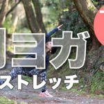朝ヨガオンライン 全身ストレッチ