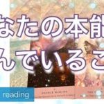 あなたの本能が望んでいること　スピリチュアル的　カードリーディング　３択