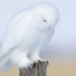 スピリチュアルカウンセリング