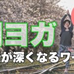 朝ヨガオンライン 呼吸が深くなるワーク