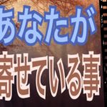【要注目】今あなたが引き寄せている事‼️スピリチュアル的に出ました😊👍怖いほど当たる✨オラクルカードリーディング✨スピリチュアルカードリーディング✨占い✨３択✨