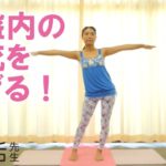 【妊活先生・妊活ヨガ】骨盤の歪み調整で血流アップ！