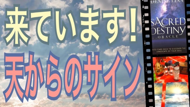 【大注目】来ています❗️😳天からのサイン🌈びっくりするほど当たる✨オラクルカードリーディング✨スピリチュアルカードリーディング✨占い✨３択✨