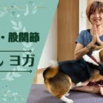 「肩甲骨・股関節ほぐしヨガ」