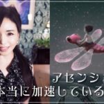 【スピリチュアルトーク】現在の地球について – アセンションは本当に加速しているのか？