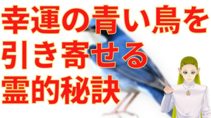 幸運の青い鳥を引き寄せるスピリチュアルな秘訣
