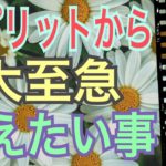 【大至急】スピリットから大至急伝えたい事‼️今、あなたに伝えたいメッセージ‼️怖いほど当たる✨オラクルカードリーディング✨スピリチュアルカードリーディング✨占い✨３択✨