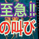 【絶対聞いて！】大至急‼️魂の叫び🌈絶対聞いて欲しい‼️恐ろしいほど当たるから‼️オラクルカードリーディング✨スピリチュアルカードリーディング✨占い✨３択✨