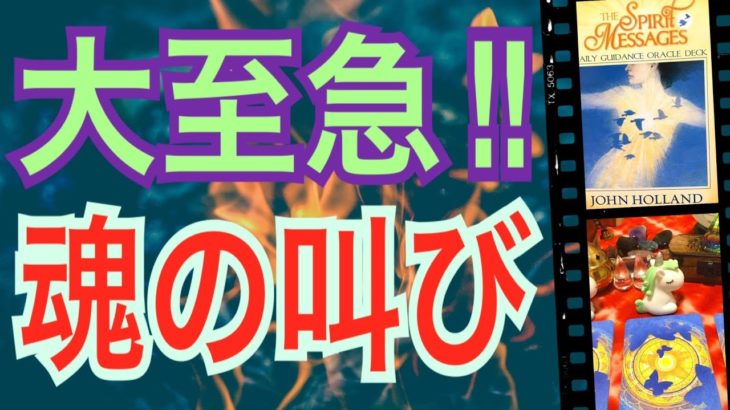 【絶対聞いて！】大至急‼️魂の叫び🌈絶対聞いて欲しい‼️恐ろしいほど当たるから‼️オラクルカードリーディング✨スピリチュアルカードリーディング✨占い✨３択✨