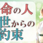 運命の出会いは前世からの約束！スピリチュアル解説♪