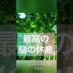 自然音　ショートバージョン　リラックス　瞑想　ヨガ
