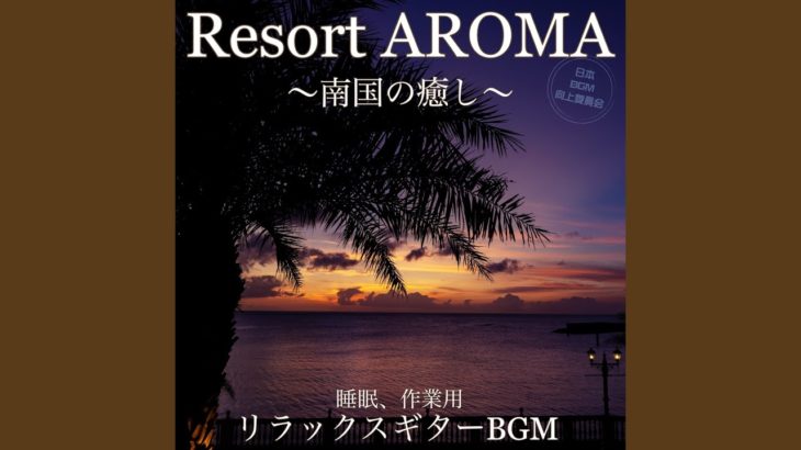 南国マインドフルネス