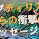 【衝撃】全てが道を失っているわけではありません！！銀河系司令部恒星間宇宙艦隊からのメッセージがヤバすぎる！！【スピリチュアル】