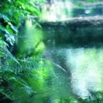 マインドフルネス瞑想 誘導音声