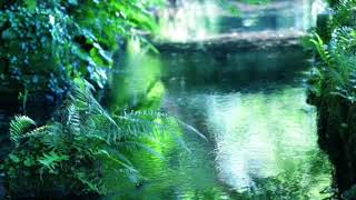 マインドフルネス瞑想 誘導音声