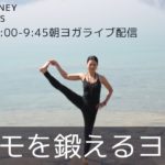 yoga journey ライブヨガ配信！2/11(木)9:00-9:45【朝ヨガ】