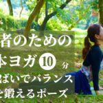 【初心者のための朝ヨガ10分】よつんばいで体幹を鍛えるポーズ