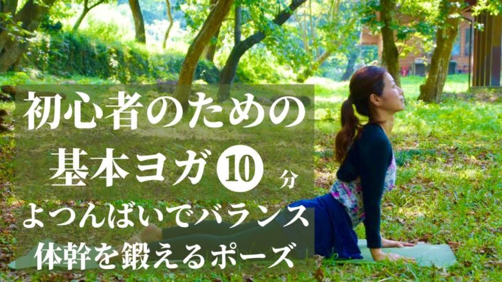 【初心者のための朝ヨガ10分】よつんばいで体幹を鍛えるポーズ