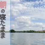 朝の10分瞑想＊目覚めのマインドフルネス＊Daily Island＃12