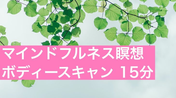 マインドフルネス瞑想　ボディスキャン　15分
