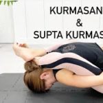 クルマアサナ&スプタクルマアサナ アシュタンガヨガ金沢 | #25 KURMASANA & SUPTA KURMASANA ASHTANGA YOGA | YOGA STUDIO A