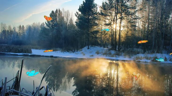 30分 安眠効果 癒しの睡眠導入音楽｜疲労回復やストレスの緩和 ソルフェジオ周波数入りヒーリングミュージック｜精神安定 リラックス