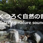 【4K Hi-Res Audio 癒し 勉強用 睡眠用 BGM AMSR】岩肌を流れ落ちる水の音で集中・リラックス 自然の音 Forest River, Relaxing, Nature Sounds